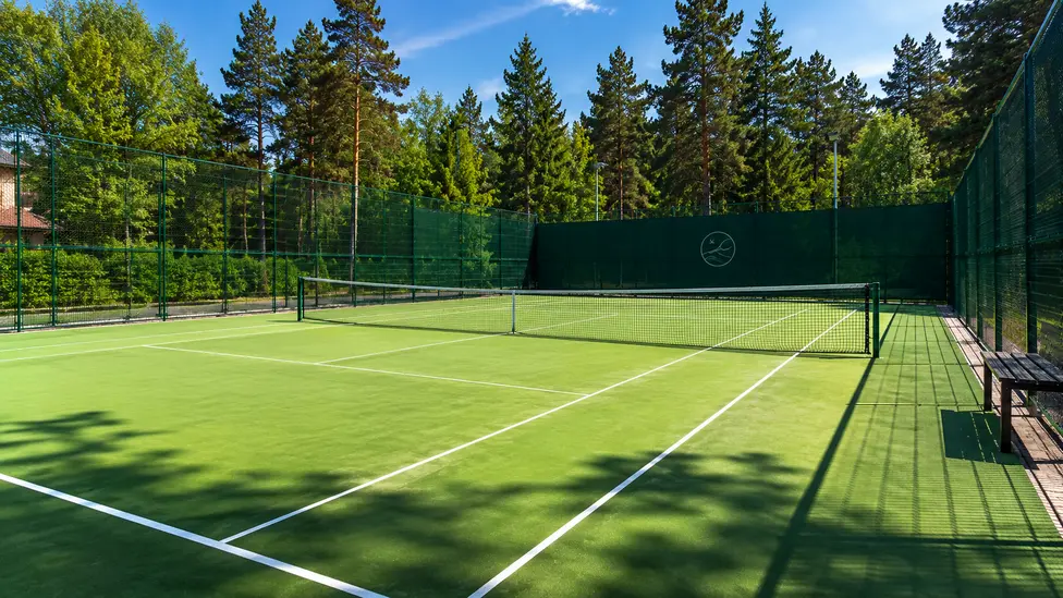 PURVYNĖS KORTAI